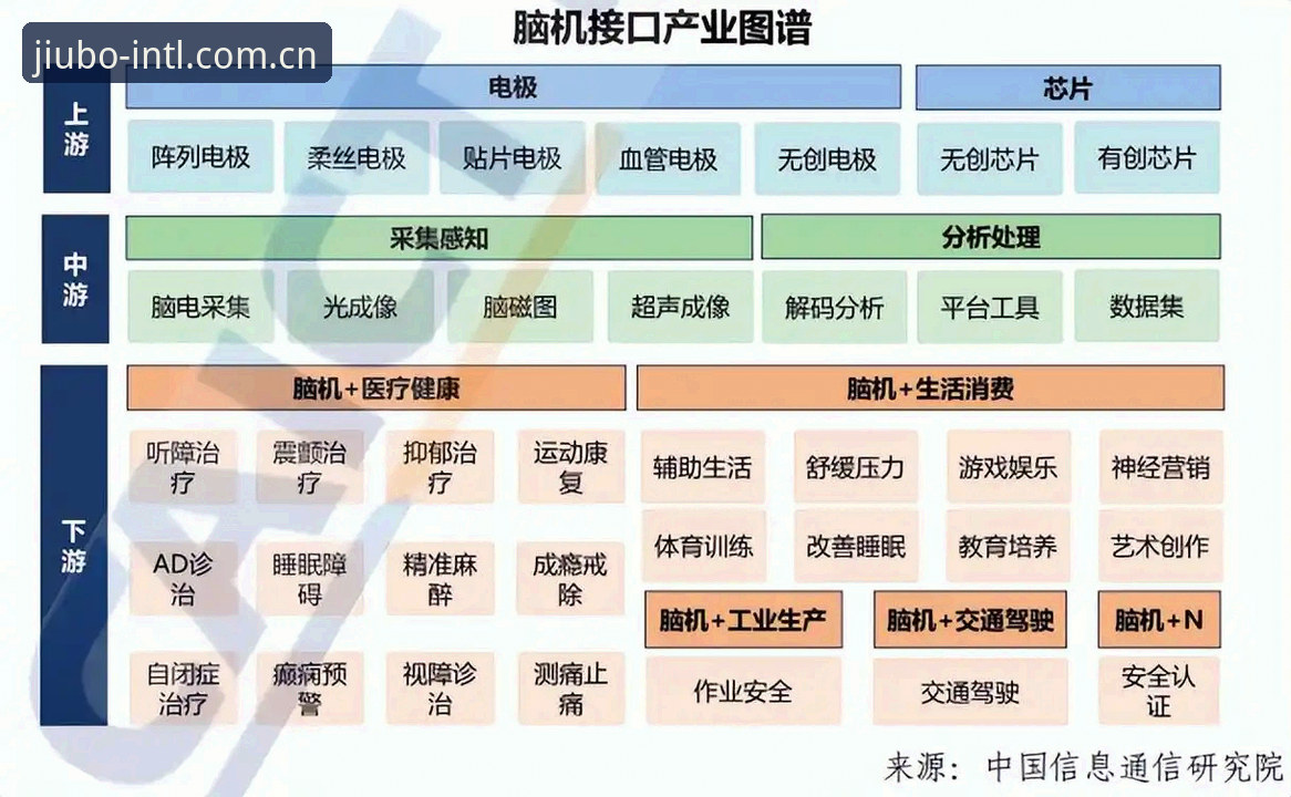九博简体版功能全面解析：从数据看盘到移动端体验的深度洞察
