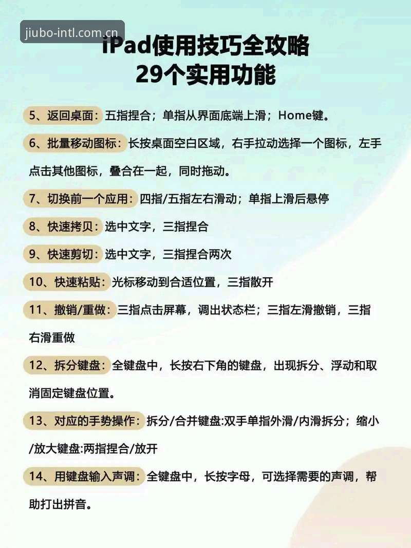 九博看球必备实用技巧：从数据到切换的完整操作指南