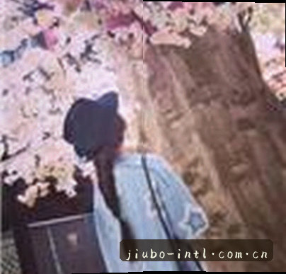 张薇